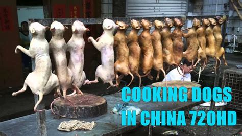 how are dogs cooked in china